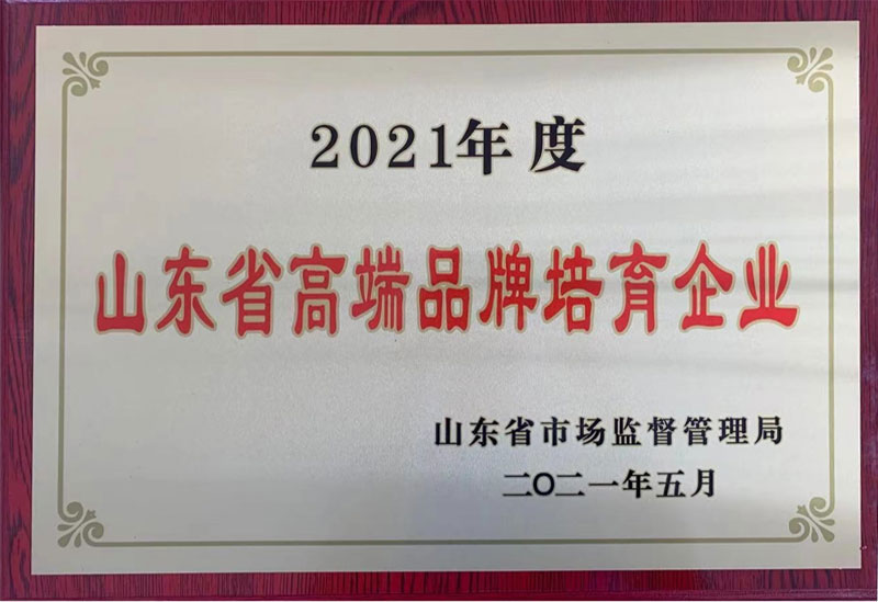 強烈熱鬧慶祝我公司經由過程山東省制作業高端品牌評審